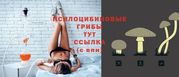 ПСИЛОЦИБИНОВЫЕ ГРИБЫ Лиски