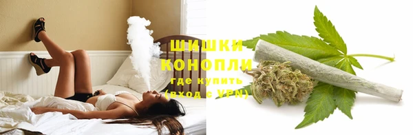 тгк Майский
