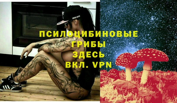 кокс Липки