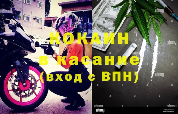 PSILOCYBIN Лихославль