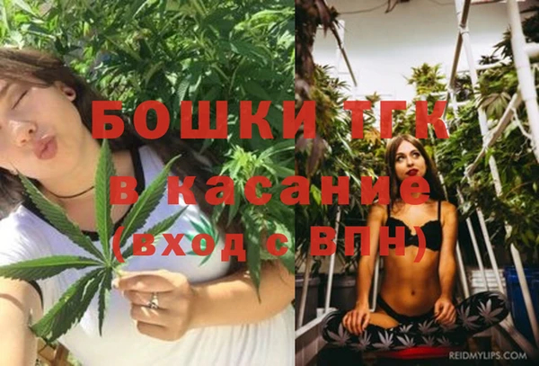 PSILOCYBIN Лихославль
