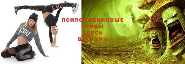 PSILOCYBIN Лихославль