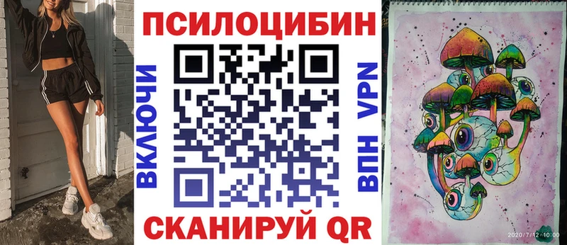 Купить где  Печоры  Псилоцибиновые грибы Cubensis 